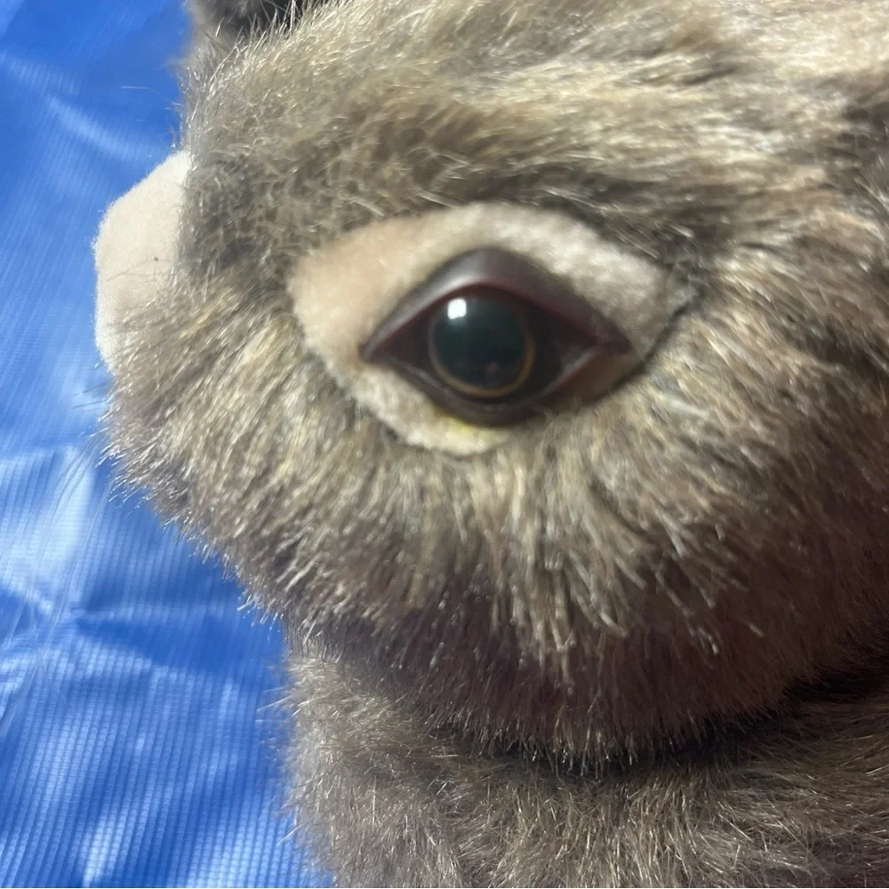 Peter Rabbit gray Slippers - Picture 8 of 13